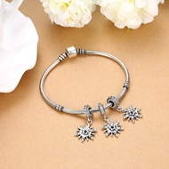 Picture of  Snowflake Small Charms & Beads 3LK053898