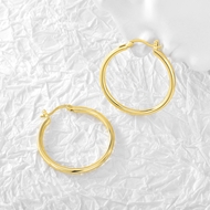 Picture of Fancy Ball Gold Plated Earrings